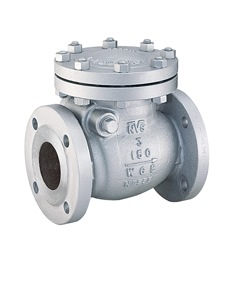 Cast Steel Check Valve