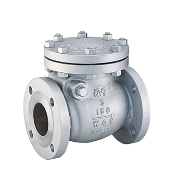 Cast Steel Check Valve