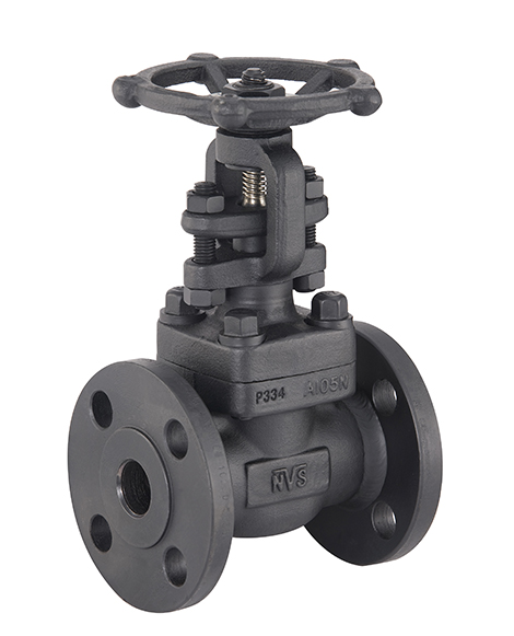 Forged Steel Flanged End Gate Valve