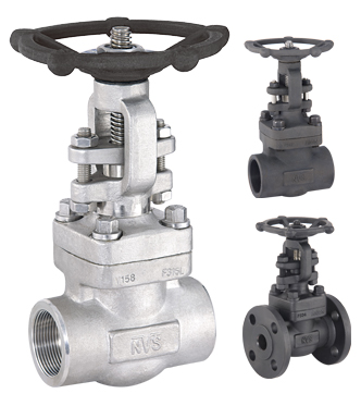 Forged Steel Gate Valve