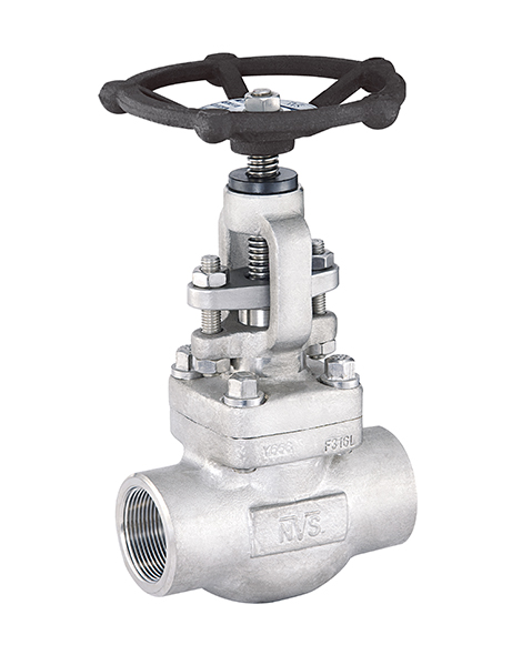 Forged Steel Globe Valve