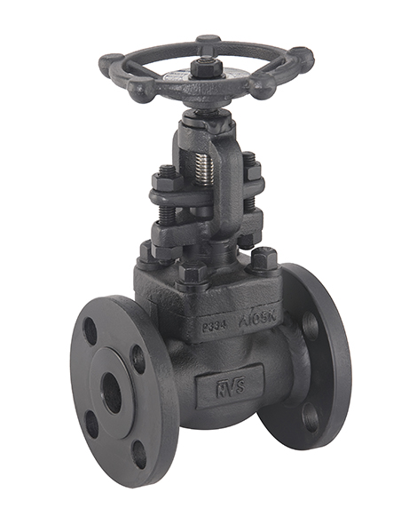 Forged Steel Globe Valve