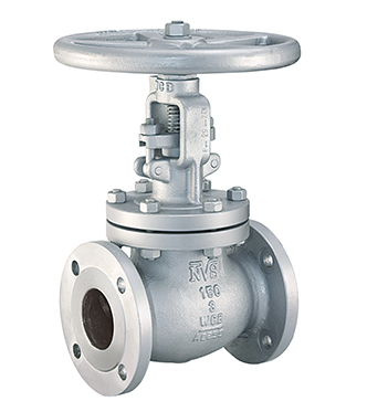 Cast Steel Globe Valve