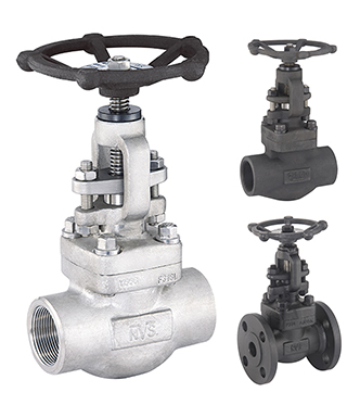 Forged Steel Globe Valve