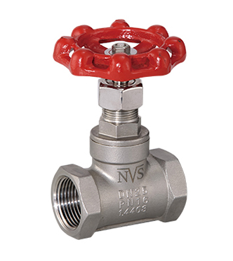 Globe Valve