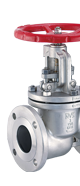 Globe Valve