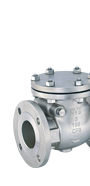 Check Valve